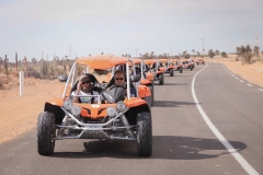 seminaire-tunisie-activite-buggy