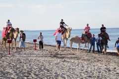 seminaire-tunisie-plage-team-building-chameaux