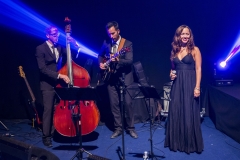 soiree-animation-groupe-musicien-chanteuse